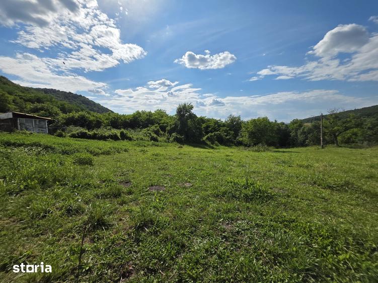 Teren intravilan de vanzare 2340 mp Pauli?, Somus jud. Hunedoara - 6