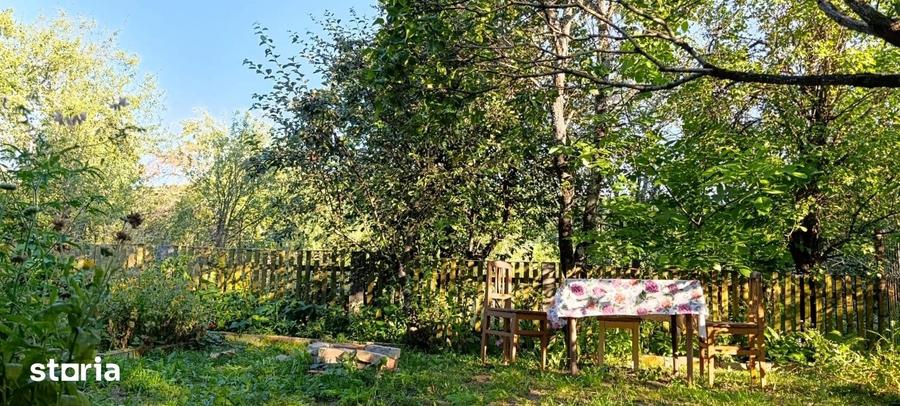 Casă cu 3 camere cu Teren 3500 Mp în Boiu Mare
