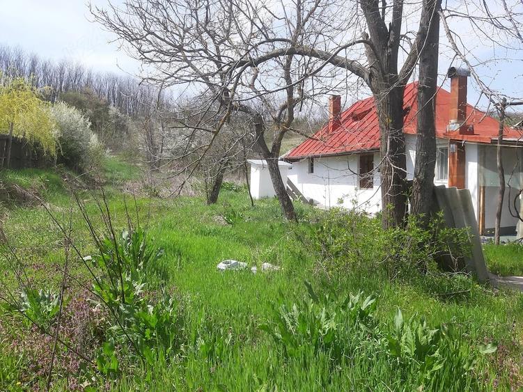 Casa si curte 1800m2 zona Colonesti, Olt tel. - 4