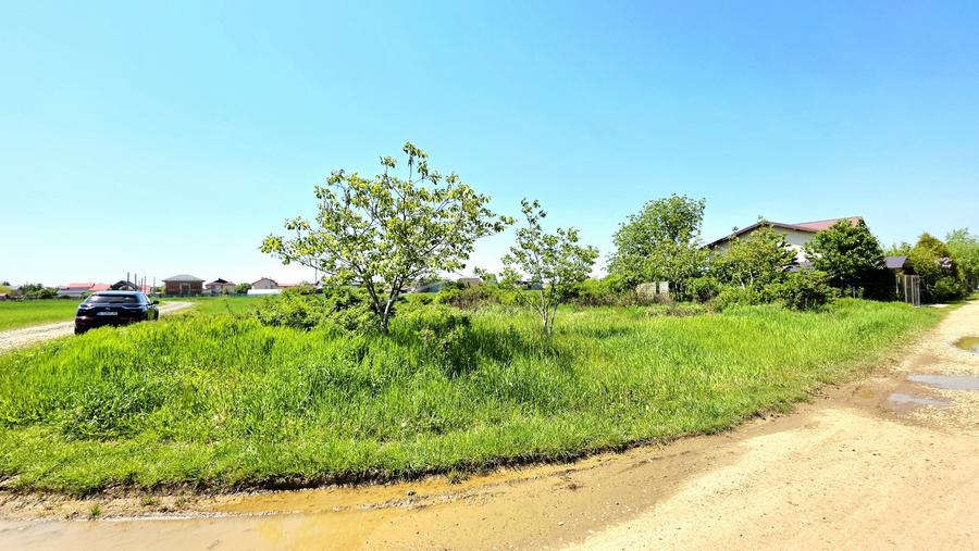 Teren Construcții intravilan de 591.66998291016 mp, în Bolintin-Deal