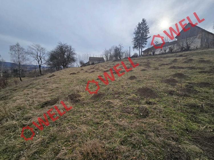 Teren extravilan de 5800 mp, în Sărămaș