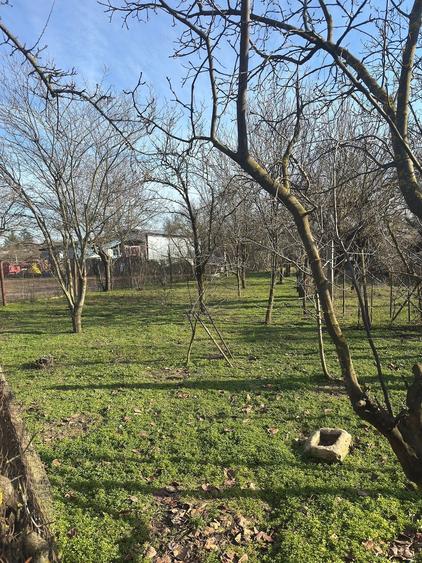 Casă cu Teren 1060 Mp în Moșteni