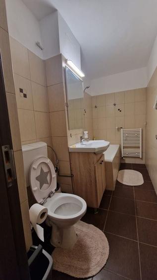 Garsonieră în Luminiș