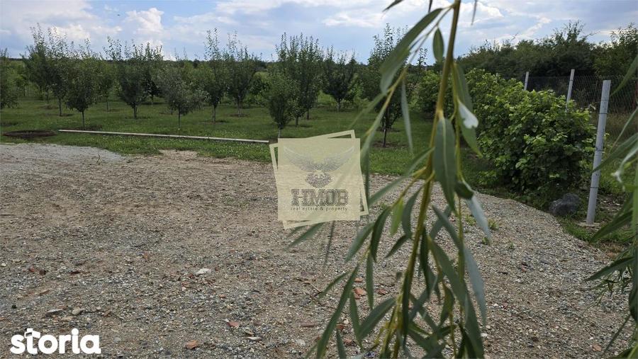 Teren de 666 mp, în Roșia