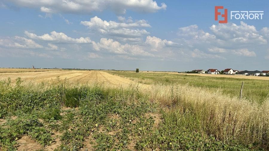 Teren Construcții intravilan de 617 mp, în Sânandrei