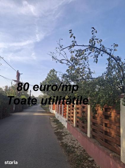 Teren de 550 mp, în Balotești