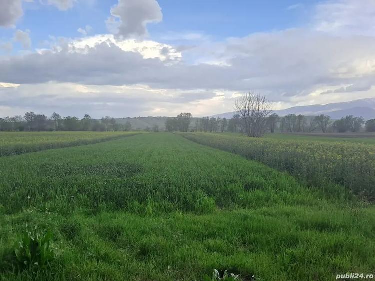 Teren de 3800 mp, în Păclișa