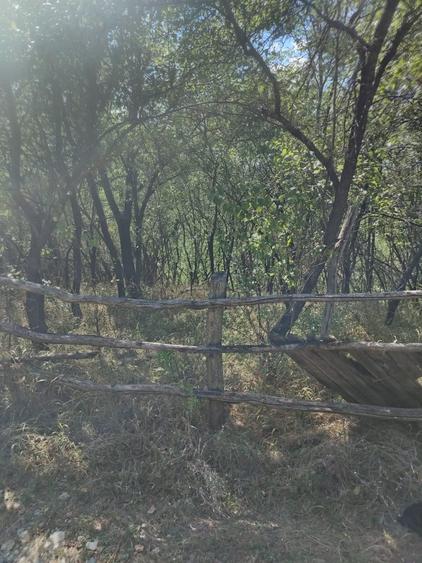 Vand casa ,com.Ladesti,sat.Olteanca, judetul Valcea - 7