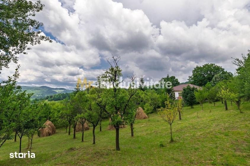 Casă cu 3 camere cu Teren 6290 Mp în Corbi