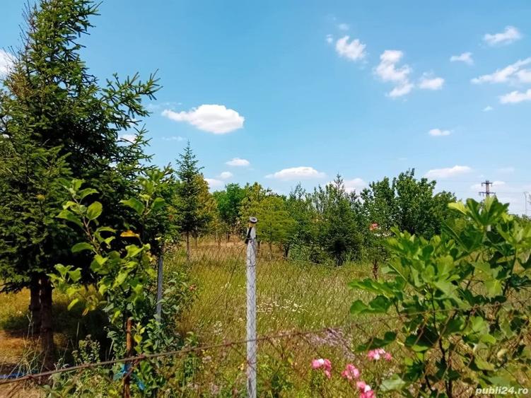 VAND Teren intravilan Sat Hagiesti Comuna Sinesti - 5