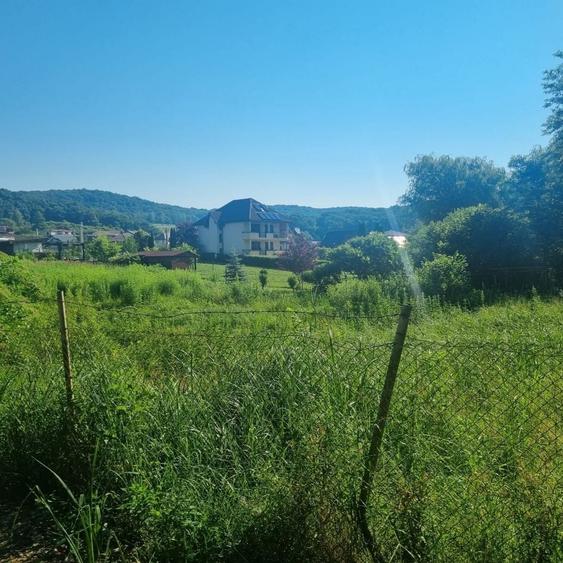 Spațiu comercial, în Corunca
