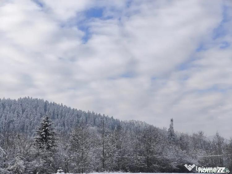 Teren de 22600 mp, în Sucevița