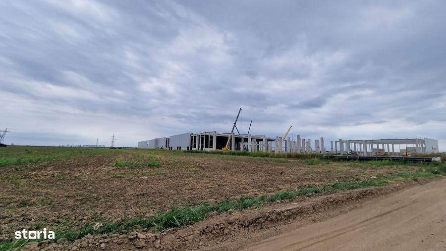 Vanzare teren 43.000 MP Intravilan Tarla 10Stefanestii de Jos, Nod - 2