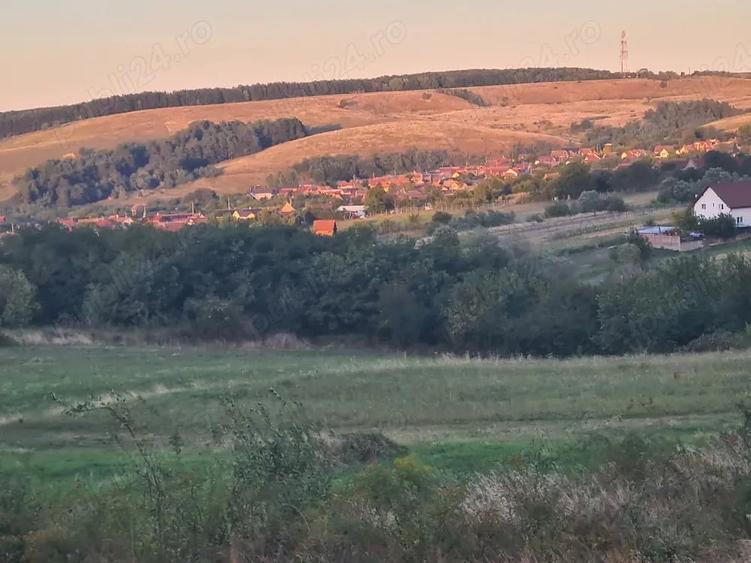 Teren de 1800 mp, în Poplaca