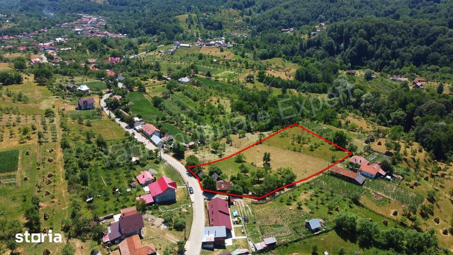 Teren de 6041 mp, în Cicănești