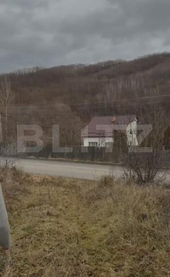 De vanzare Teren extravilan 3300mp - padure, loc. Salicea, jud. Cluj - 3