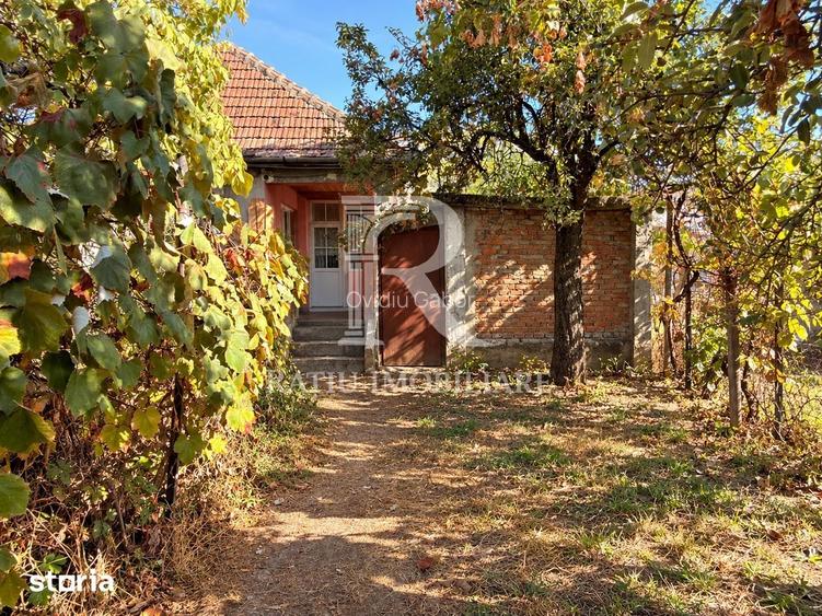 Casa cu spa?iu comercial la strada, curte ?i gradina | Oradea