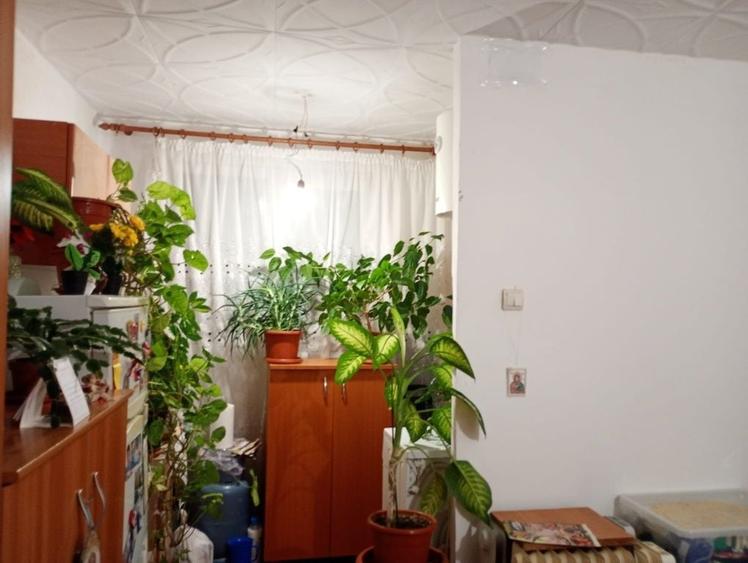 Garsonieră în Rahova