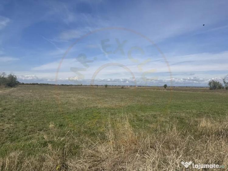 Teren de 3700 mp, în Nejlovelu
