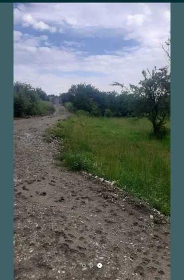 Spațiu comercial, în Filipeștii de Pădure
