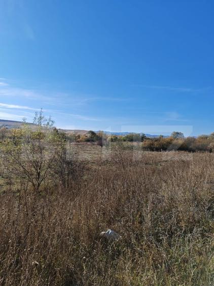 Teren agricol extravilan de 9000 mp, în Crăești