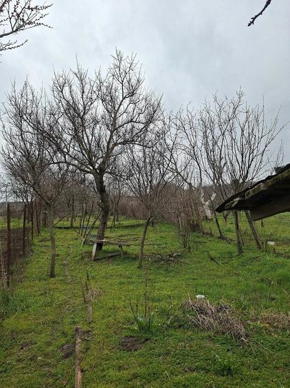 Casă cu 2 camere cu Teren 890 Mp în Podari