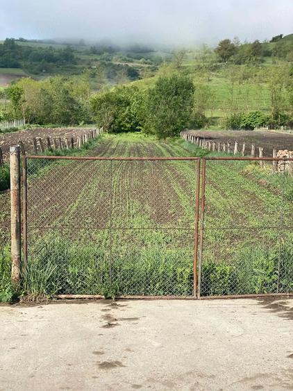 Teren de 1625 mp, în Șmig