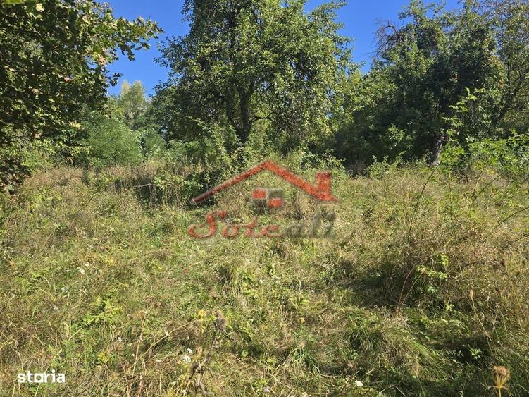 Teren intravilan de vanzare Cornu - 6