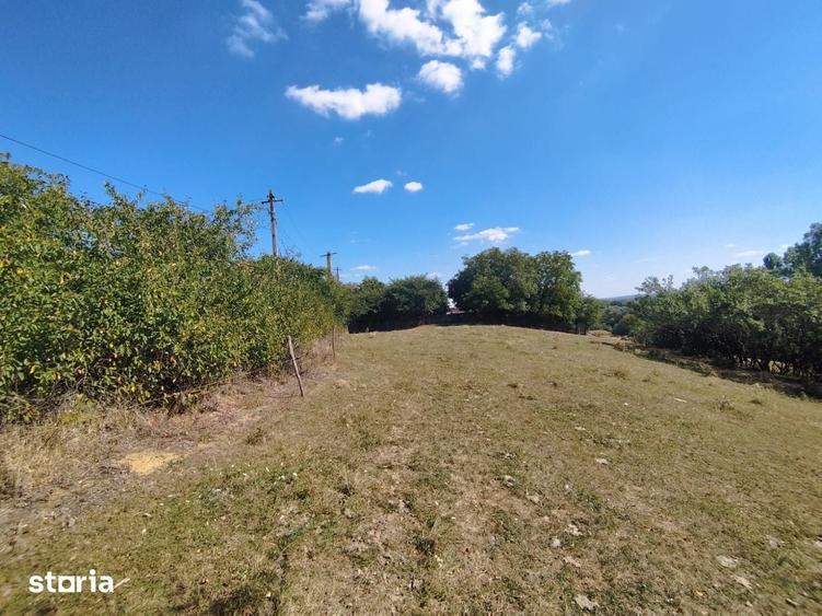 Teren de 2200 mp, în Frumosu