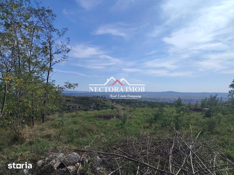 Teren de 2350 mp, în Paleu