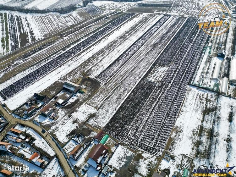 Teren de 6245 mp, în Ilieni