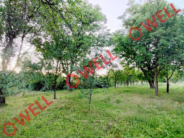 Teren Construcții intravilan de 1800 mp, în Calnic