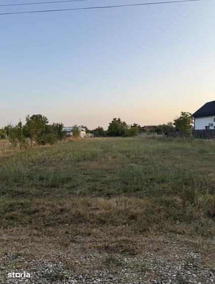 Loturi de vanzare Balotesti- strada prelungirea Fieni. Langa padure - 1