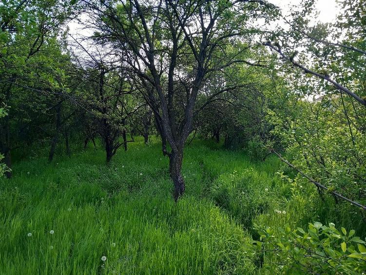 Vand Teren Tufeni - 3