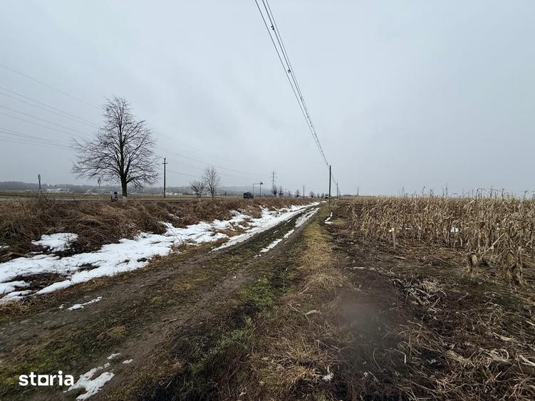 Teren de 7276 mp, în Putna
