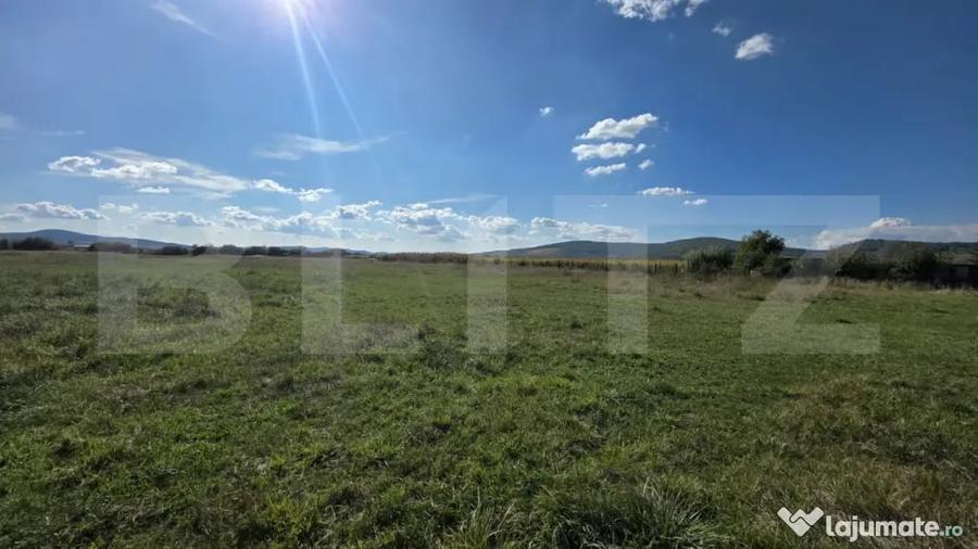 Teren extravilan de vanzare Comuna Cetate, zona lini? - Bistrita (Bistrita-Nasaud) - 2