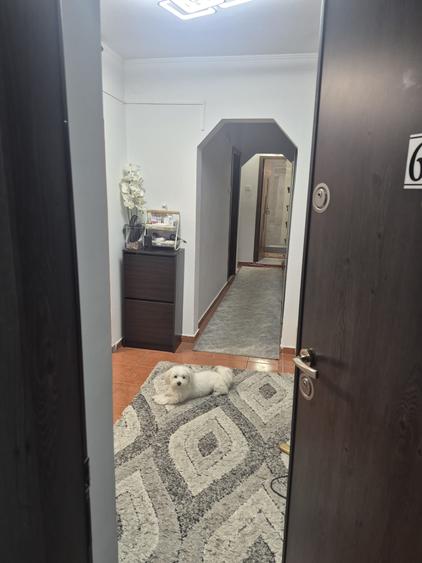 3Camere Crangasi - 1