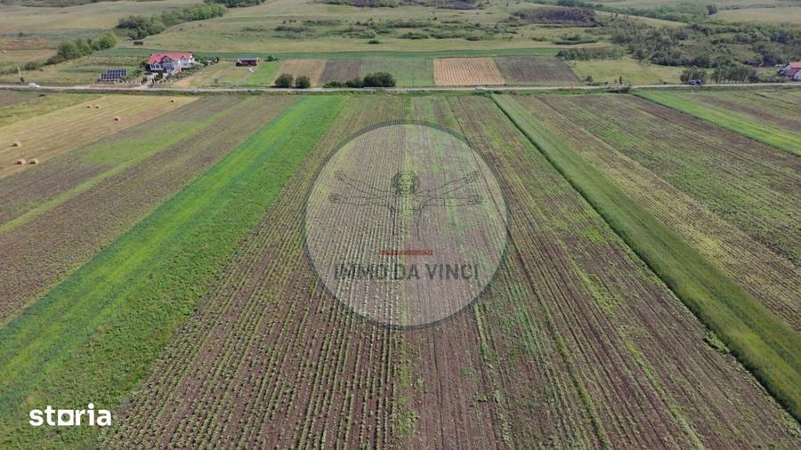 Teren de 10670 mp, în Borșa
