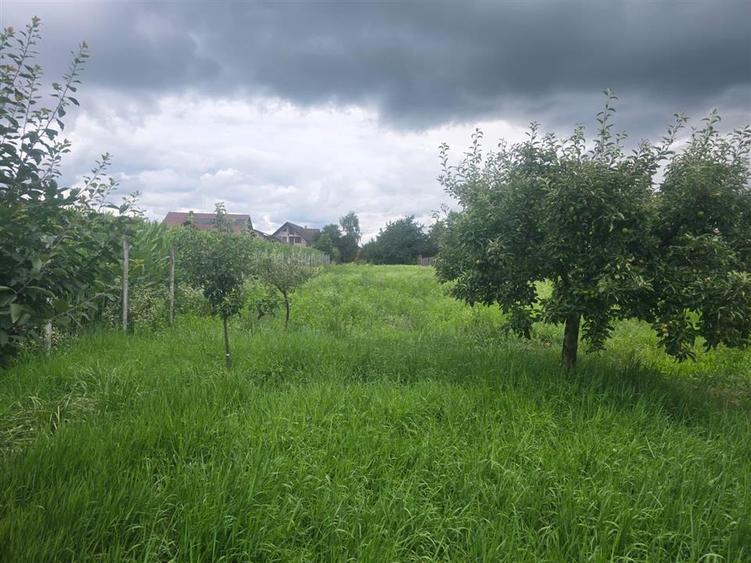 Teren Construcții intravilan de 1000 mp, în Nord