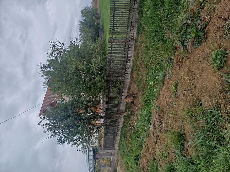 Teren de 1330 mp, în Cionchești