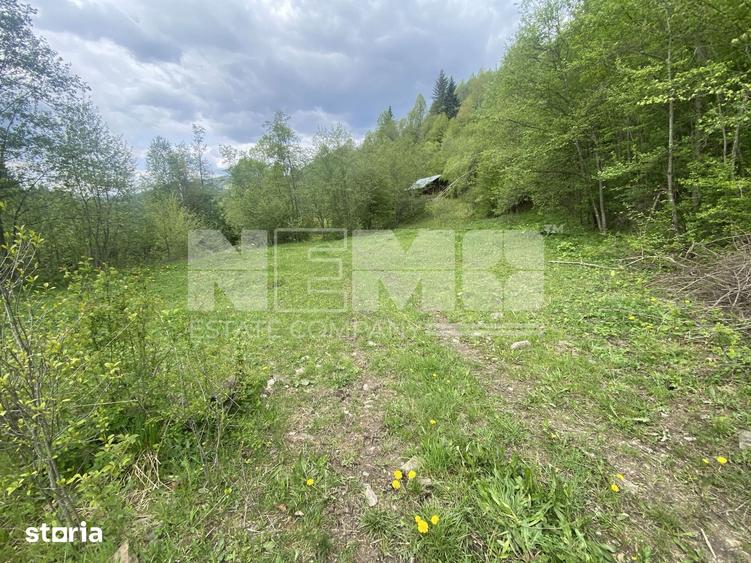 Teren de 3100 mp, în Frasin