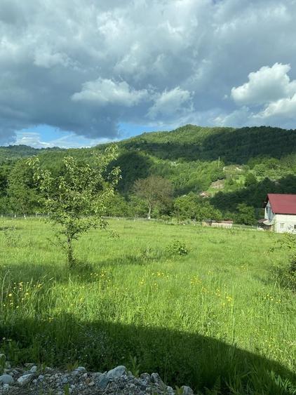 Teren de 2600 mp, în Vișeu de Sus