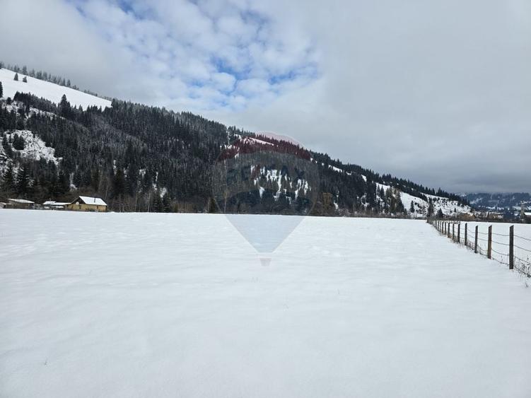 Teren de 13650 mp, în Dorna-Arini