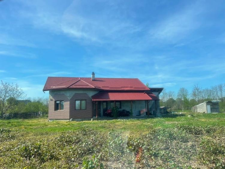 Casă individuală cu 3 camere cu Teren 8500 Mp în Pomi