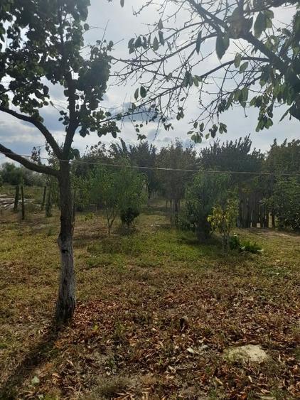 Casă individuală cu 3 camere cu Teren 2220 Mp în Adâncata