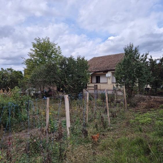 Casă individuală cu 2 camere cu Teren 666 Mp în Jucu de Sus
