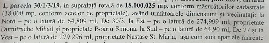 Spațiu comercial, în Islaz