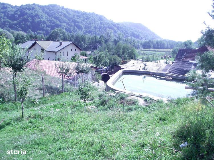 Casă cu 6 camere cu Teren 60000 Mp în Corbi