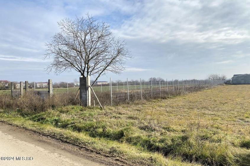 Teren Construcții intravilan de 2409 mp, în Afumați
