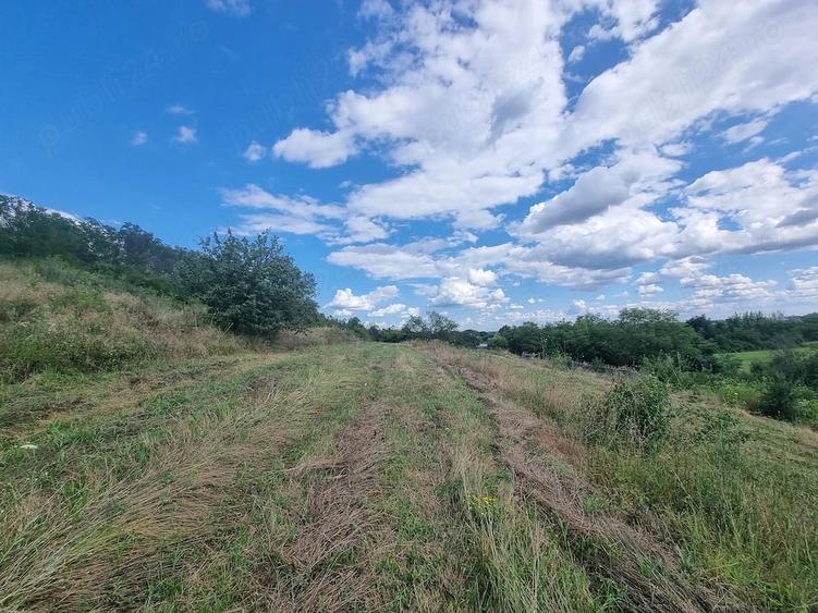 Teren de 12500 mp, în Gura Foii
